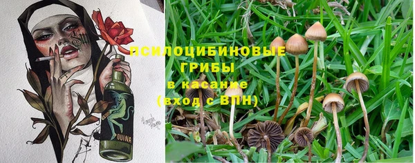 круглые Аркадак