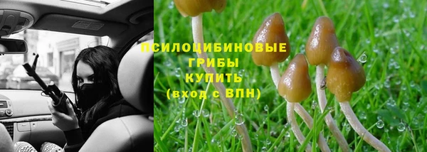 герыч Арсеньев